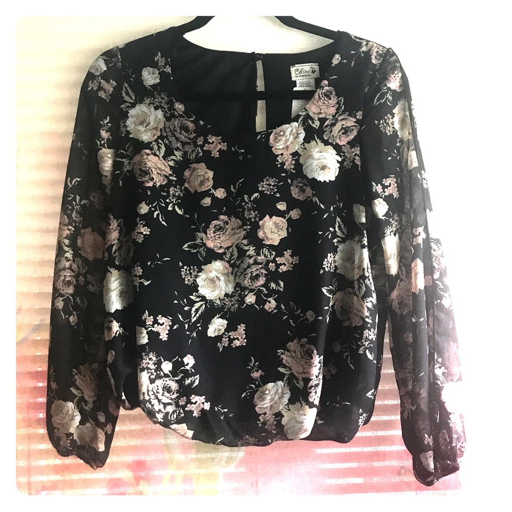 Celine Floral Chiffon Blouse Sheer Long Sleeve Top